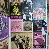  at María Candela  in Bogota