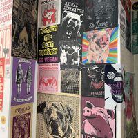   at María Candela  in Bogota