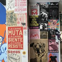   at María Candela  in Bogota