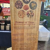 Power of ume at Mume Farm in Orland