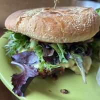 Black bean burger  at Green Salmon Coffee and Tea House in Yachats
