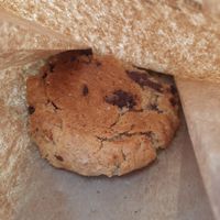 Cookie at Ahonui in Kahului