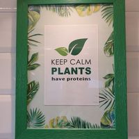  at Green Bowl in Genoa