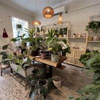   at Full Bloom Café in Nice