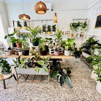   at Full Bloom Café in Nice