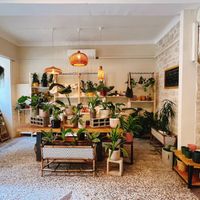   at Full Bloom Café in Nice