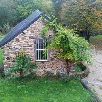 Accomodation at Tranquility Donkey Association & other Rescues - The Yoga Tarte in Estivaux