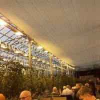 Lovely ambience at Friðheimar in Selfoss