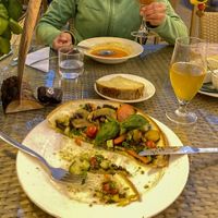   at Friðheimar in Selfoss