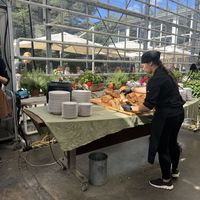 Soup buffet   at Friðheimar in Selfoss