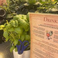   at Friðheimar in Selfoss