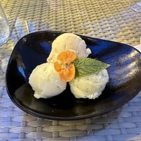 Trio of sorbets  Cucumber, mint, and lime. Red tomatoes and basil. Green tomatoes and rosemary. The green tomato I thought would be my least favorite but was actually the best!  at Friðheimar in Selfoss