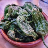 Pimientos del padrón fritos (veery salty) at La Vegana Taperia Playa in Torre Del Mar