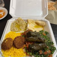  #Veganuary at Taste of Jerusalem and More in Pensacola