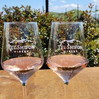 Delicious wines at Tel Shifon Winery in Kibbutz Ortal
