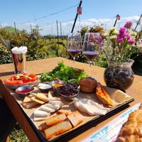 Great ambiance at Tel Shifon Winery in Kibbutz Ortal