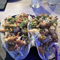 Vegan Cauliflower Tacos with chipotle sauce   at The Shores in Oxnard