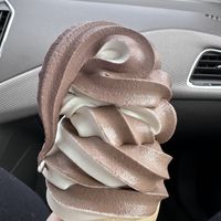 Non-dairy soft serve twist  at Henyo's Gooney Village in Phelps