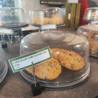  at Lighthouse Café in South Shields