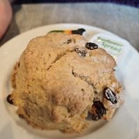 Fruit scone at Lighthouse Café in South Shields