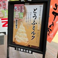 Tofu milk ice cream  at Mikasa Kankokaikan - 三笠観光会館 in Nara