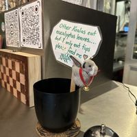 Tip Koala.  at VEG'D - Vegan Burgers - P-Berg in Berlin