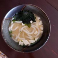 Miso Soup at Gohanya in Chiang Mai