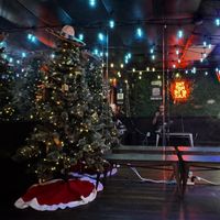 Inside during Christmas    at The Pass Kitchen in Altamonte Springs