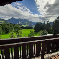  at Naturhaus Lehnwieser in Ramsau Am Dachstein