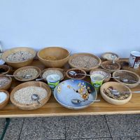   at Naturhaus Lehnwieser in Ramsau Am Dachstein