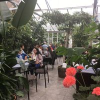 Delightful garden cafe at Tradgardscafe - Slottstradgarden Ulriksdal in Solna