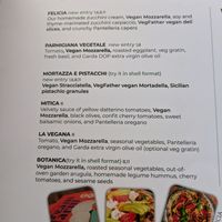 Vegan Options at Zia Pizza in Peschiera Del Garda
