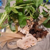 Fresh veges ~26/4/23 at Ascend Vegetarian 蔬升 in Central Singapore