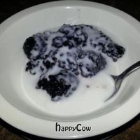 Delicious black rice pudding in vegan coconut sauce at Thai Pot Cafe in Denver