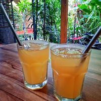 Kombucha with ginger at Compound's Warung - In Da Compound Warung in Gianyar