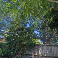 Nice garden area at The White Horse  in Richmond