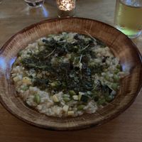 Risotto  at The Treehouse Restaurant in Alnwick