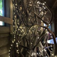 Interior of restaurant   at The Treehouse Restaurant in Alnwick