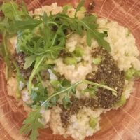 Edamame, courgette pesto risotto at The Treehouse Restaurant in Alnwick