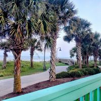  at La Cantina in Myrtle Beach