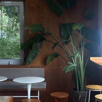   at Lychees in Warsaw