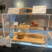   at Shark Coffee in Tokyo