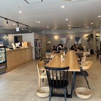   at Shark Coffee in Tokyo