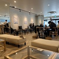   at Shark Coffee in Tokyo