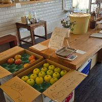 Fresh produce and miso at Cafe Pirica - 喫茶 Pirica (ピリカ) in Beppu