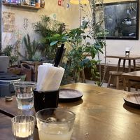 La kombucha está muy buena   at Casa Nopal & Tiger Club in La Paz
