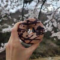 Strawberry chocolate donut at Nukafuku ヌカフク in Hakone