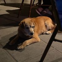   at Cantina Miseria E Nobilta in Amalfi