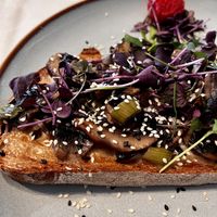 Miso Stulle  at GuMo in Karlsruhe