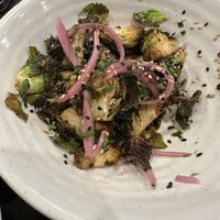 Brussels  at Okiboru in Atlanta